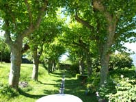 Hébergement Pontcharra Extérieur - Allée d'arbres jardin