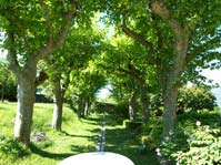 Hébergement Pontcharra Extérieur - Allée d'arbres jardin